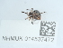  ( - NHMUK014537472)  @11 [ ] Unspecified (default): All Rights Reserved  Unspecified Unspecified