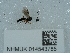  ( - NHMUK014543785)  @11 [ ] Unspecified (default): All Rights Reserved  Unspecified Unspecified