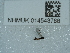  ( - NHMUK014543786)  @11 [ ] Unspecified (default): All Rights Reserved  Unspecified Unspecified