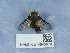  ( - NHMUK014543879)  @11 [ ] Unspecified (default): All Rights Reserved  Unspecified Unspecified