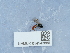  ( - NHMUK014543880)  @11 [ ] Unspecified (default): All Rights Reserved  Unspecified Unspecified