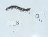  ( - NHMUK014551759)  @11 [ ] Unspecified (default): All Rights Reserved  Unspecified Unspecified