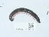  ( - NHMUK014551759)  @11 [ ] Unspecified (default): All Rights Reserved  Unspecified Unspecified