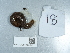  ( - NHMUK014551771)  @11 [ ] Unspecified (default): All Rights Reserved  Unspecified Unspecified