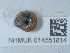  ( - NHMUK014551814)  @11 [ ] Unspecified (default): All Rights Reserved  Unspecified Unspecified