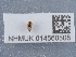  ( - NHMUK014560508)  @11 [ ] Unspecified (default): All Rights Reserved  Unspecified Unspecified