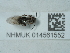  ( - NHMUK014561552)  @11 [ ] Unspecified (default): All Rights Reserved  Unspecified Unspecified