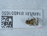  ( - NHMUK014561659)  @11 [ ] Unspecified (default): All Rights Reserved  Unspecified Unspecified