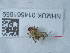  ( - NHMUK014561659)  @11 [ ] Unspecified (default): All Rights Reserved  Unspecified Unspecified