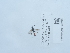  ( - NHMUK014562103)  @11 [ ] Unspecified (default): All Rights Reserved  Unspecified Unspecified