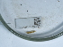  ( - NHMUK014562135)  @11 [ ] Unspecified (default): All Rights Reserved  Unspecified Unspecified