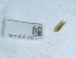  ( - NHMUK014562137)  @11 [ ] Unspecified (default): All Rights Reserved  Unspecified Unspecified