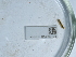  ( - NHMUK014562138)  @11 [ ] Unspecified (default): All Rights Reserved  Unspecified Unspecified