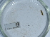  ( - NHMUK014562138)  @11 [ ] Unspecified (default): All Rights Reserved  Unspecified Unspecified