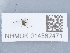  ( - NHMUK014562471)  @11 [ ] Unspecified (default): All Rights Reserved  Unspecified Unspecified