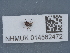  ( - NHMUK014562472)  @11 [ ] Unspecified (default): All Rights Reserved  Unspecified Unspecified