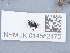  ( - NHMUK014562475)  @11 [ ] Unspecified (default): All Rights Reserved  Unspecified Unspecified