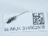  ( - NHMUK014562508)  @11 [ ] Unspecified (default): All Rights Reserved  Unspecified Unspecified