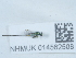  (Torymus affinis - NHMUK014562508)  @11 [ ] Unspecified (default): All Rights Reserved  Unspecified Unspecified