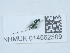  ( - NHMUK014562509)  @11 [ ] Unspecified (default): All Rights Reserved  Unspecified Unspecified