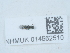  (Torymus notatus - NHMUK014562510)  @11 [ ] Unspecified (default): All Rights Reserved  Unspecified Unspecified