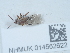  ( - NHMUK014562622)  @11 [ ] Unspecified (default): All Rights Reserved  Unspecified Unspecified