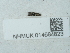  ( - NHMUK014584823)  @11 [ ] Unspecified (default): All Rights Reserved  Unspecified Unspecified