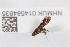  ( - NHMUK014584835)  @11 [ ] Unspecified (default): All Rights Reserved  Unspecified Unspecified