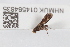  ( - NHMUK014584835)  @11 [ ] Unspecified (default): All Rights Reserved  Unspecified Unspecified
