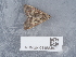  ( - NHMUK014584871)  @11 [ ] Unspecified (default): All Rights Reserved  Unspecified Unspecified
