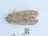  ( - NHMUK014584938)  @11 [ ] Unspecified (default): All Rights Reserved  Unspecified Unspecified