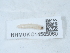  ( - NHMUK014585060)  @11 [ ] Unspecified (default): All Rights Reserved  Unspecified Unspecified