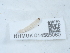  ( - NHMUK014585060)  @11 [ ] Unspecified (default): All Rights Reserved  Unspecified Unspecified