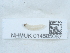  ( - NHMUK014585067)  @11 [ ] Unspecified (default): All Rights Reserved  Unspecified Unspecified