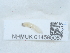  ( - NHMUK014585067)  @11 [ ] Unspecified (default): All Rights Reserved  Unspecified Unspecified