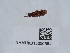  ( - NHMUK015050584)  @11 [ ] Unspecified (default): All Rights Reserved  Unspecified Unspecified