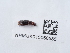  ( - NHMUK015050585)  @11 [ ] Unspecified (default): All Rights Reserved  Unspecified Unspecified