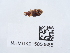  ( - NHMUK015050585)  @11 [ ] Unspecified (default): All Rights Reserved  Unspecified Unspecified