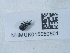  ( - NHMUK015050601)  @11 [ ] Unspecified (default): All Rights Reserved  Unspecified Unspecified