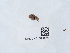  ( - NHMUK015050624)  @11 [ ] Unspecified (default): All Rights Reserved  Unspecified Unspecified