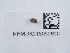  ( - NHMUK015050650)  @11 [ ] Unspecified (default): All Rights Reserved  Unspecified Unspecified