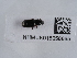  ( - NHMUK015050665)  @11 [ ] Unspecified (default): All Rights Reserved  Unspecified Unspecified