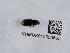  ( - NHMUK015050665)  @11 [ ] Unspecified (default): All Rights Reserved  Unspecified Unspecified