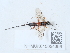  ( - NHMUK015054396)  @11 [ ] Unspecified (default): All Rights Reserved  Unspecified Unspecified