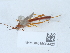  ( - NHMUK015054422)  @11 [ ] Unspecified (default): All Rights Reserved  Unspecified Unspecified