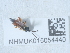  ( - NHMUK015054440)  @11 [ ] Unspecified (default): All Rights Reserved  Unspecified Unspecified