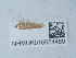  ( - NHMUK015054469)  @11 [ ] Unspecified (default): All Rights Reserved  Unspecified Unspecified