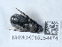  ( - NHMUK015054474)  @11 [ ] Unspecified (default): All Rights Reserved  Unspecified Unspecified