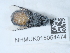 ( - NHMUK015054474)  @11 [ ] Unspecified (default): All Rights Reserved  Unspecified Unspecified