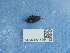  ( - NHMUK015054482)  @11 [ ] Unspecified (default): All Rights Reserved  Unspecified Unspecified